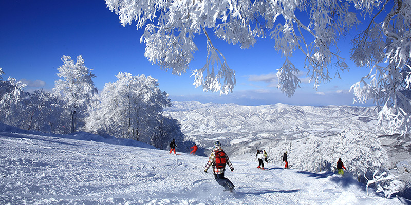 NOZAWA ONSEN