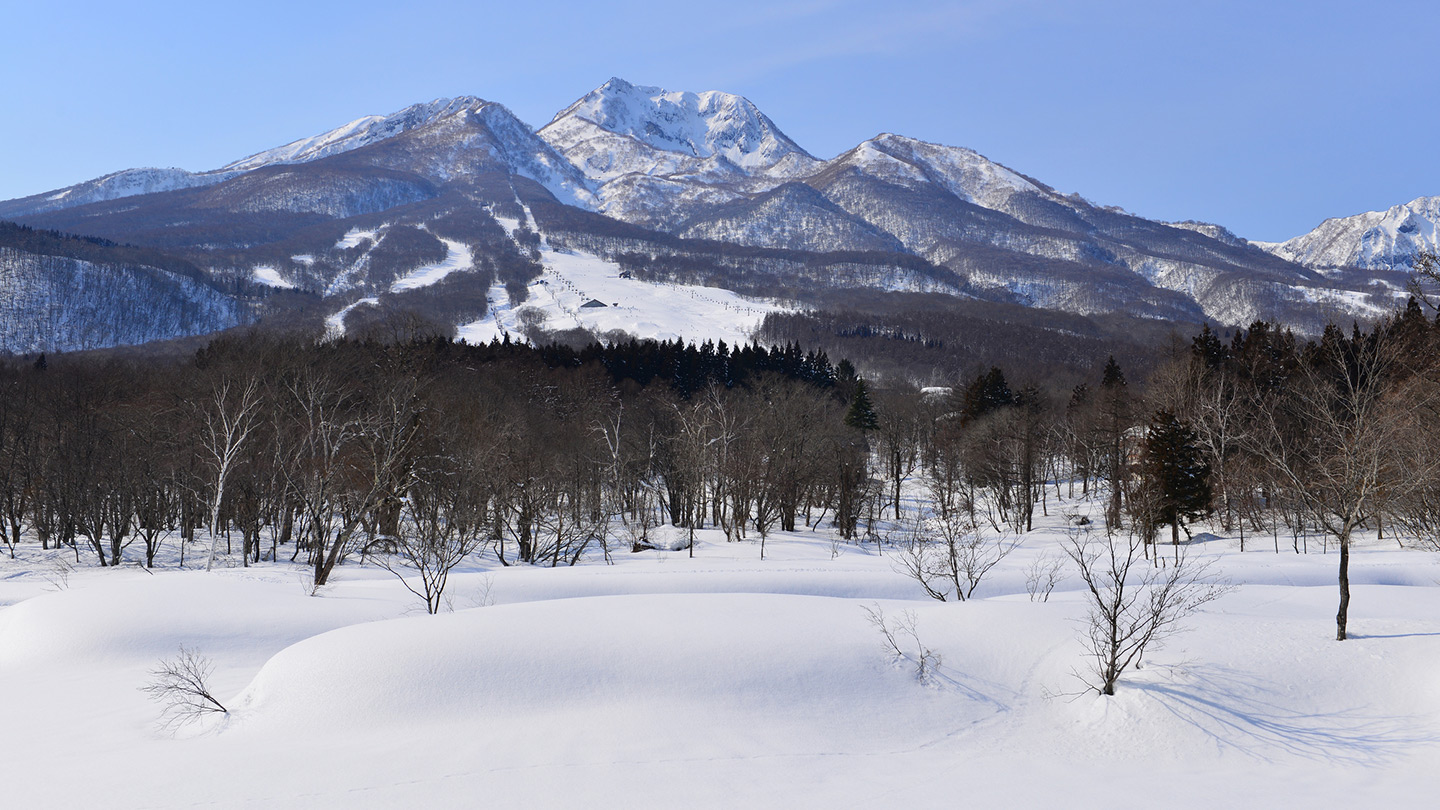 Myoko