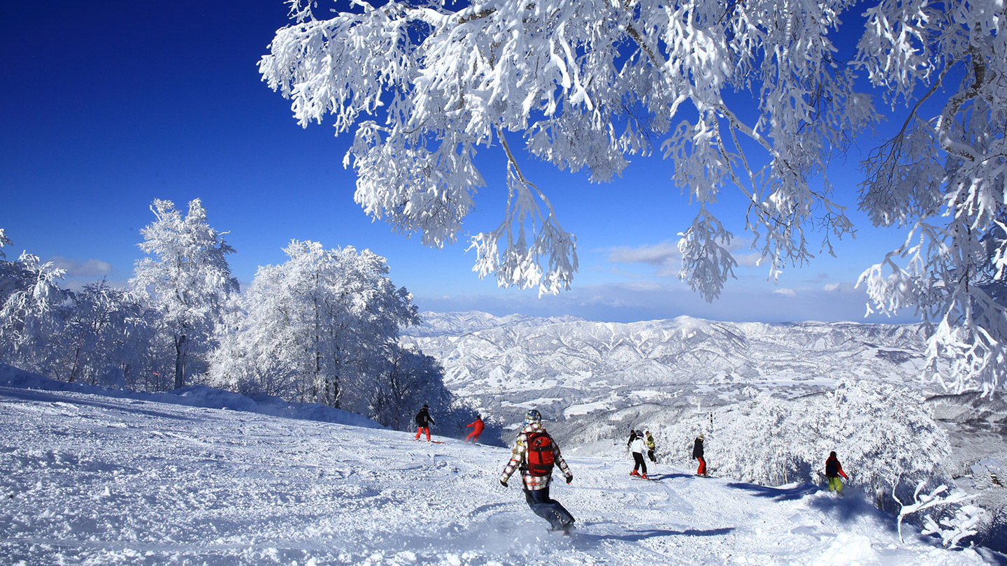 Nozawa Onsen